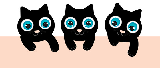 3 black kittens have blue eyes. They are playing and looking down. There is a light orange space. clipart graphic for online or print..