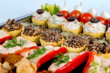 plate with meat, meatballs, vegetables, cheese, spices and bread