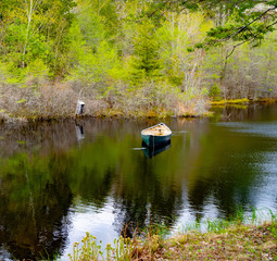 Canoe on a pond by the side of the road Pretty Marsh Bar Harbor Maine