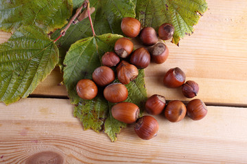 Hazelnuts on table