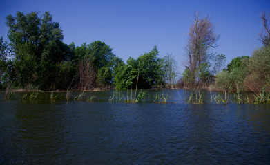 Beautiful spring landscape in the Volga Delta. Astrakhan Region. Russia