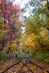 railway in the forest on an autumn morning
