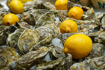 Raw oysters with yellow lemon on ice , in Barcelona market