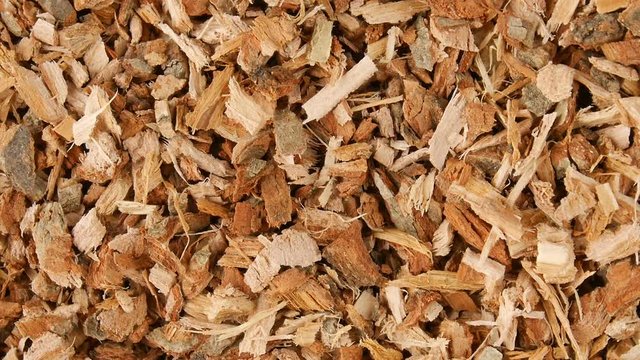 Oak bark (background)