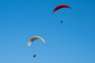 Paraglider in the sky. Parachute. Pilot. Free fall. Blue sky