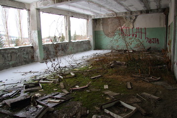 Fototapeta na wymiar plants in an abandoned building