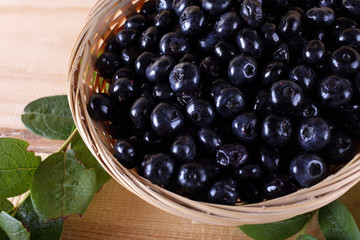 Blueberry harvest