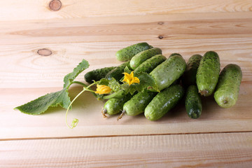 Cucumbers on table