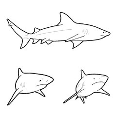 Bull Shark Vector Illustration Hand Drawn Animal Cartoon Art