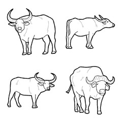Buffalo Vector Illustration Hand Drawn Animal Cartoon Art