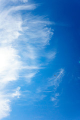 Naklejka na ściany i meble 【空イメージ】青空と柔らかな雲