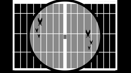 白のふすまと黒の蝶 © おうちライフチャンネル