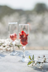 Pink cocktail with champagne or prosecco and fresh raspberries for St. Valentine's day.