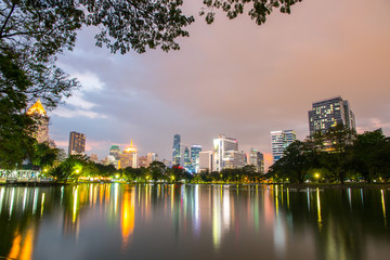 Fototapeta na wymiar Night view of Lumpini park, Bangkok, Thailand