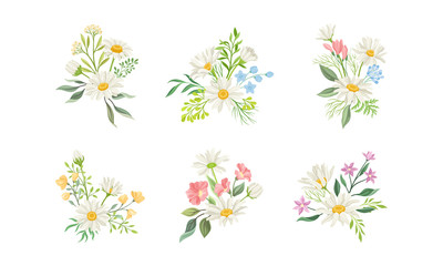 Fototapeta na wymiar Daisy Flowers and Meadow Flora with Green Branches Compositions Vector Set