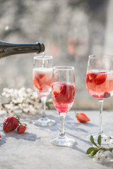 Sangria. Pink cocktail with champagne or prosecco and fresh raspberries for St. Valentine's day.