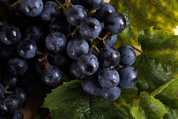 Wine grape on table