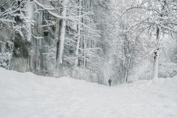 Extreme Wide Shot with a snowy road, trees and the figure of a walking man in the middle in the distance. Blizzard Snowstorm snowfall condition