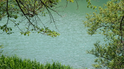 池