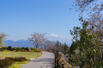 静岡県日本平からの富士山
