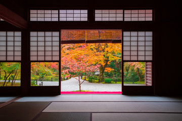 京都　圓光寺の紅葉