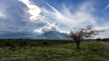 A Shot In A National Park On A Bright And Sunny Day