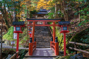 Fototapeta na wymiar 京都　貴船神社の紅葉