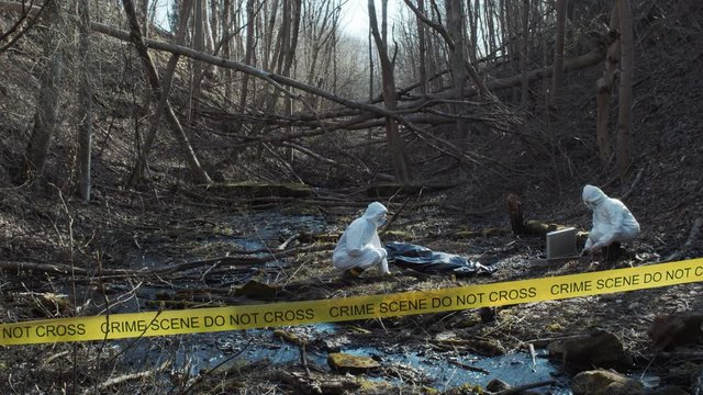 Forensic specialist working in the forest. Police criminalists collecting evidence and making criminal investigation. Crime scene.