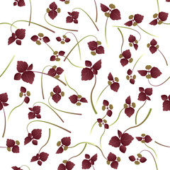 Microgreens Shiso, Perilla. Sprouting seeds of a plant. Seamless pattern. Vitamin supplement, vegan food.