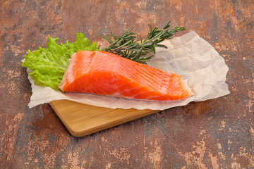 Piece of raw salmon