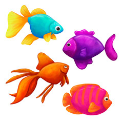 four bright sea fish