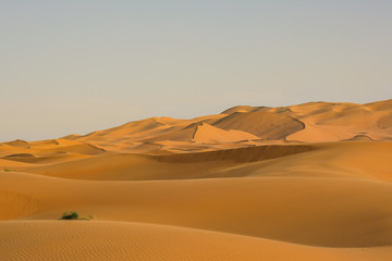 Fototapeta na wymiar Sahara desert, Morocco, Erg chebbi