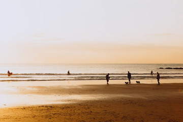 Fototapeta na wymiar Ocean sunset, people walking with dogs silhouettes, warm orange colour