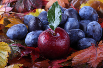Plums on autumn leaves