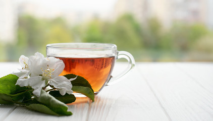 Transparent glass cup with hot tea and a branch of white flowers on a white wooden background