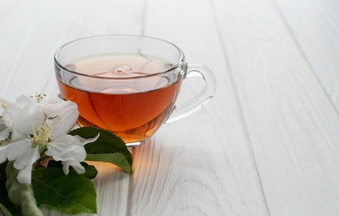 Transparent glass cup with hot tea and a branch of white flowers on a white wooden background