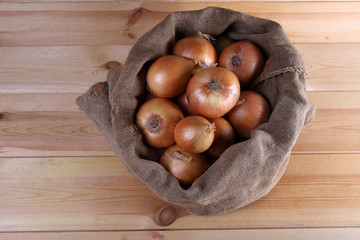 Onion in bag. Autumn harvest