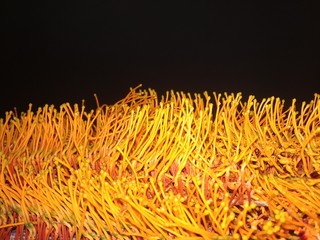 yellow flowers back background