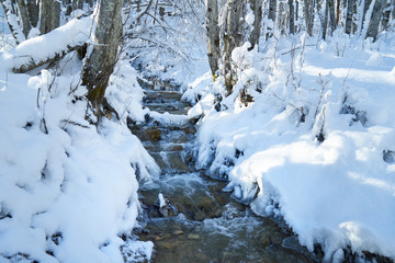 Mountain river in the winter forest.