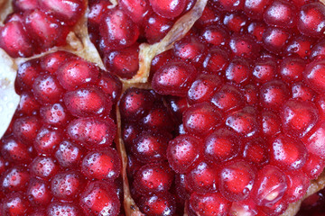 Pomegranate. Macro