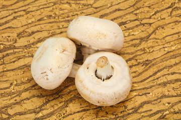 Raw Champignon heap for cooking