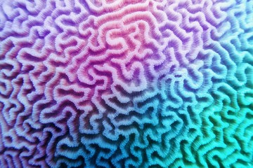 Multicolored violet- blue gradient abstract background - Organic texture of the hard brain coral
