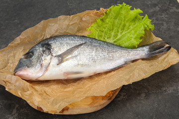 Raw Dorada fish  for cooking