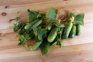 Cucumbers on table