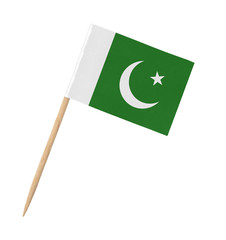 Small paper flag of Pakistan on wooden stick