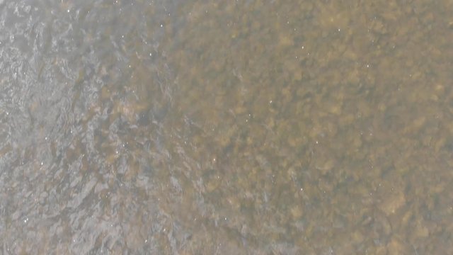 Poprad River in Beskids Mountains in spring. Village Rytro, Poland.