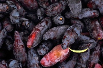Honeysuckle berries background