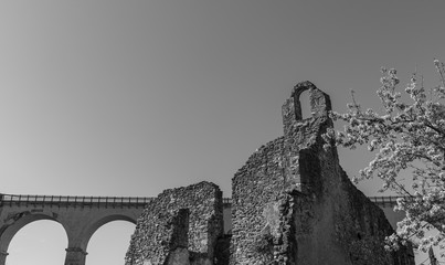 Isernia, Molise, ruins of the Celestial Convent of S. Spirito.  View.