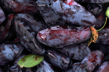 Honeysuckle berries background