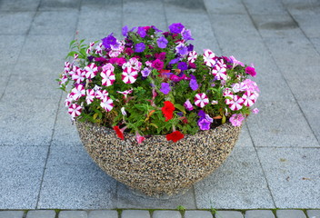 Fototapeta na wymiar Round stone mottled compact flowerbed with colorful flowers